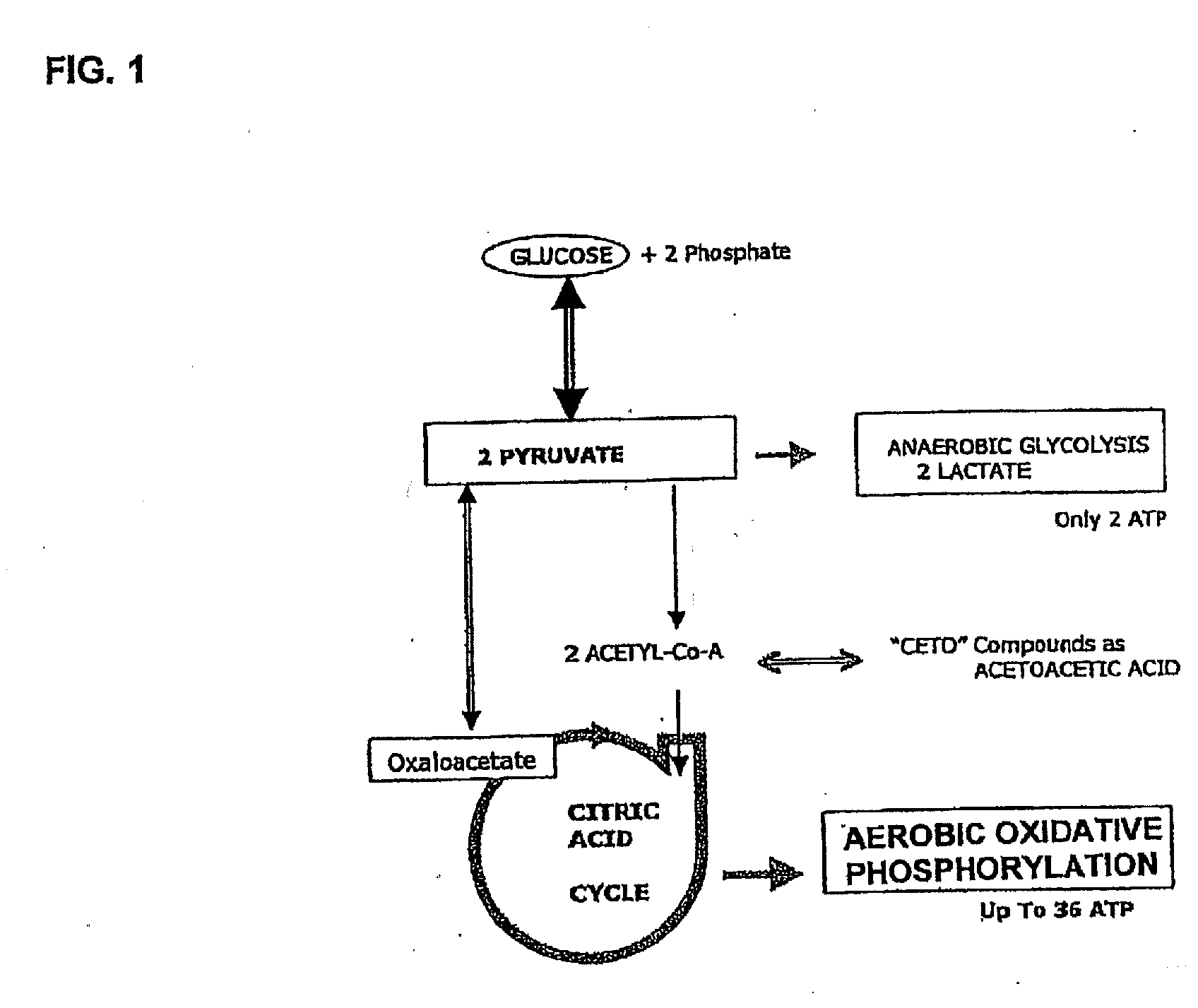 Medium and methods for the storage of platelets