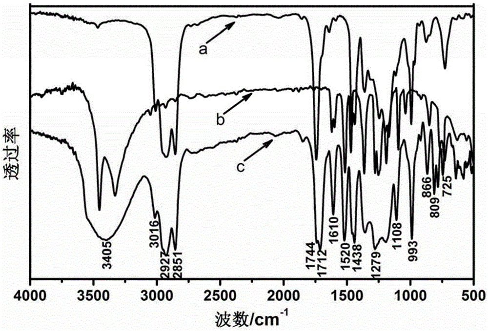 Eleostearic acid ester alkylated compound containing phenolic hydroxyl, and preparation method and application of eleostearic acid ester alkylated compound