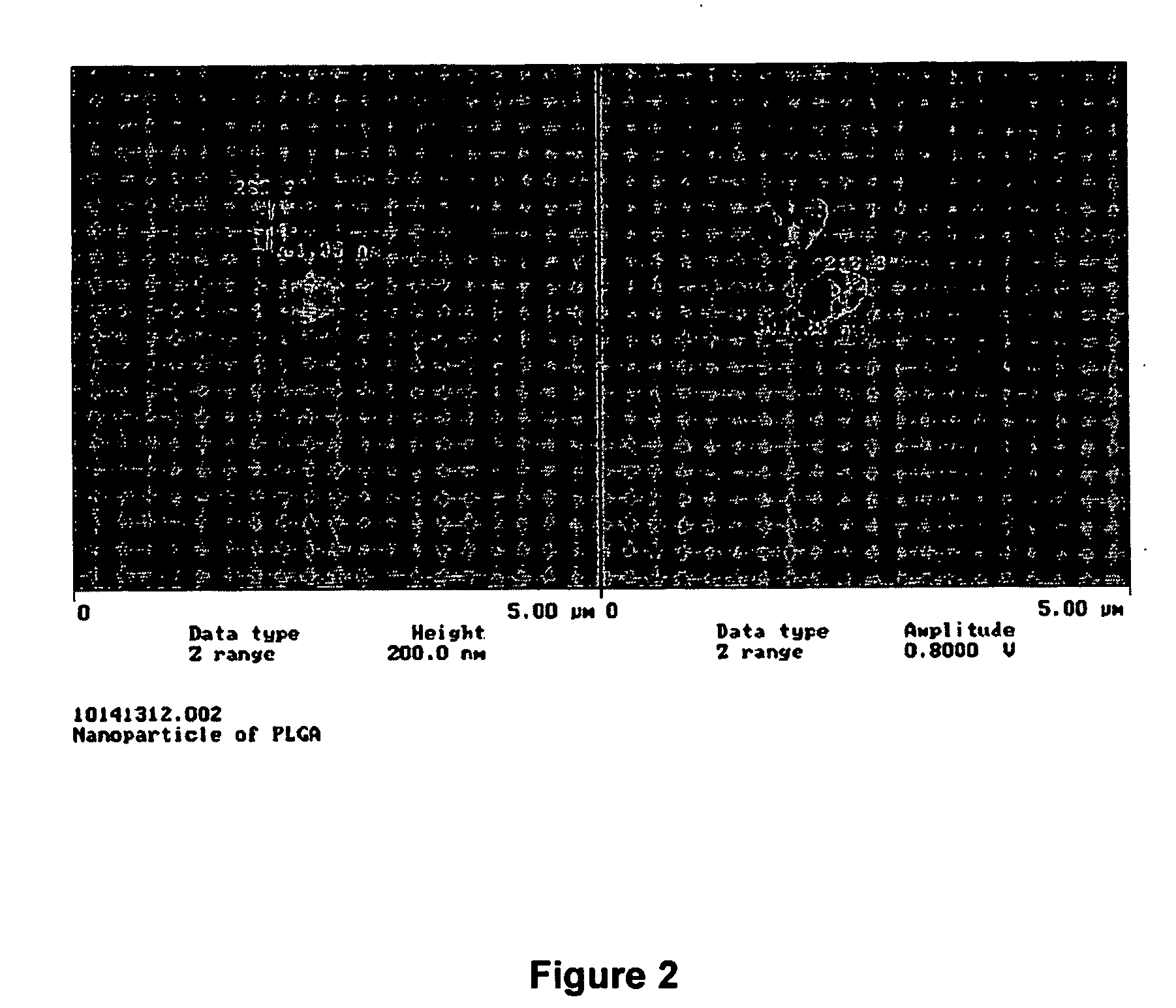 Nanoparticle based stabilization of ir fluorescent dyes