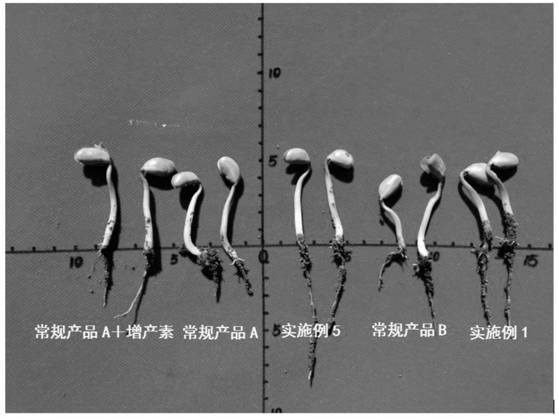 Plant microorganism seed dressing agent and use method thereof