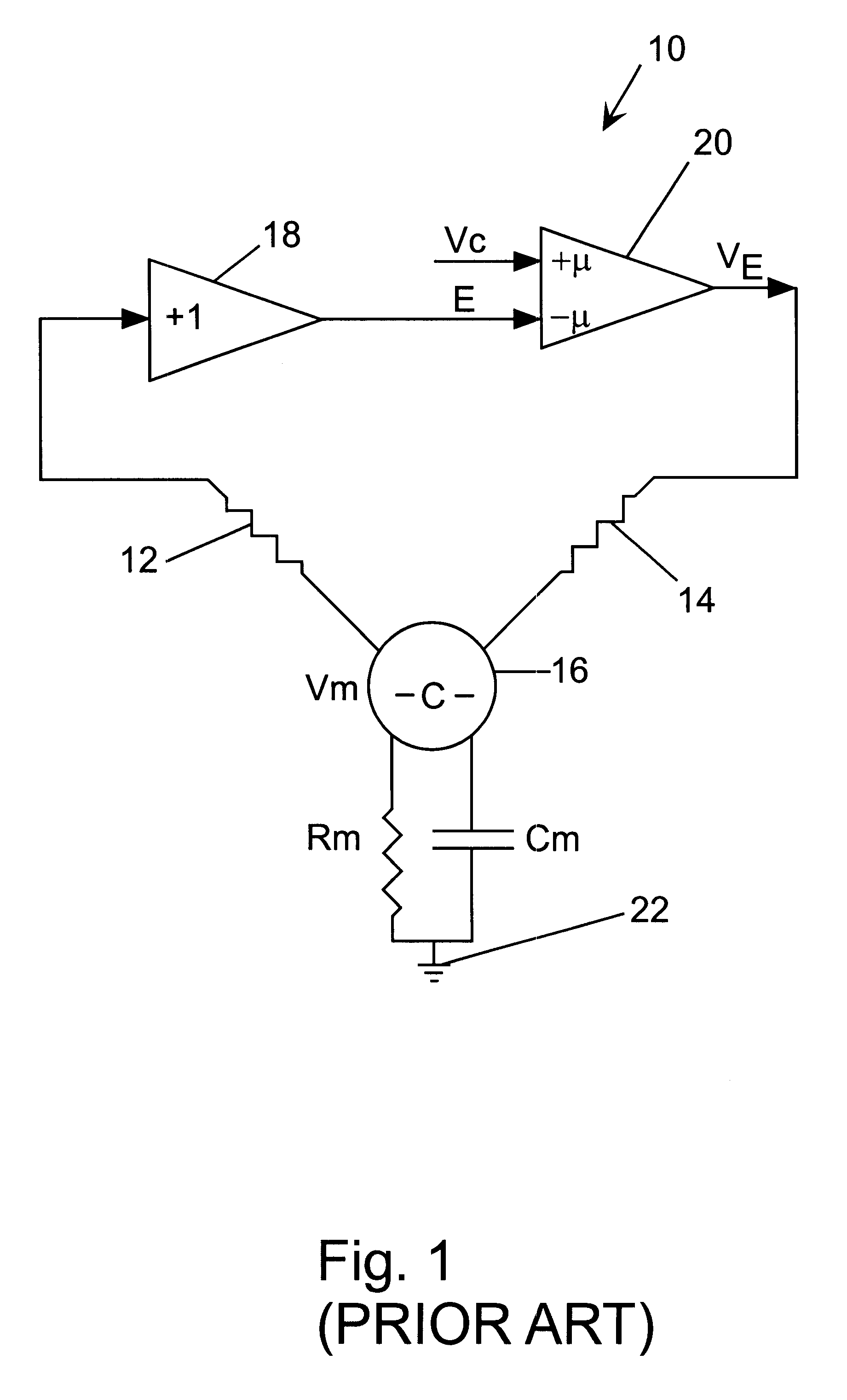 Perfusion chamber for electrophysiological testing of oocytes