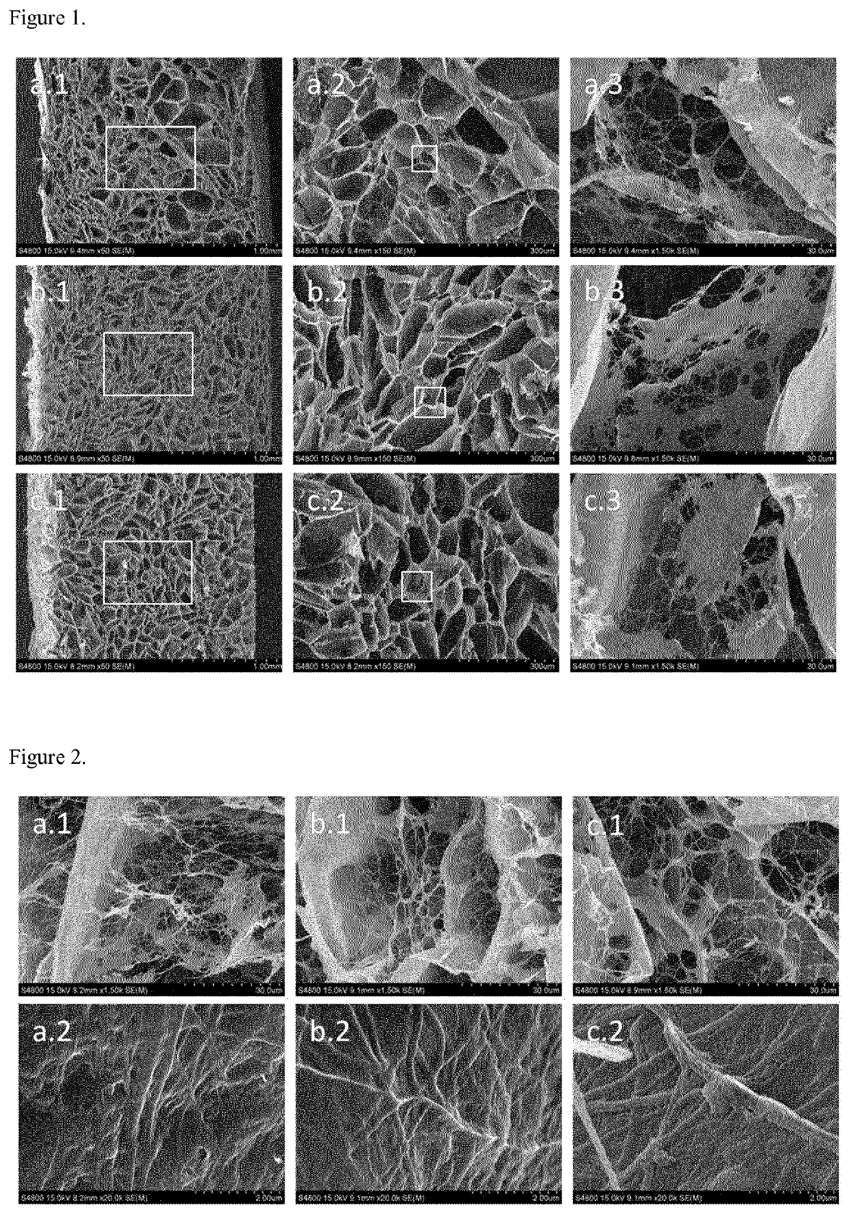 Biomaterial scaffold for regenerating the oral mucosa