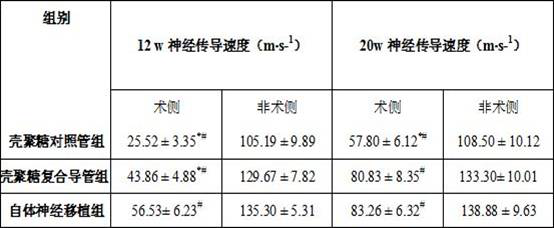 A kind of chitosan-based composite nerve guide and its preparation method and application