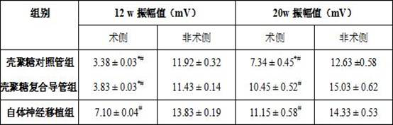 A kind of chitosan-based composite nerve guide and its preparation method and application