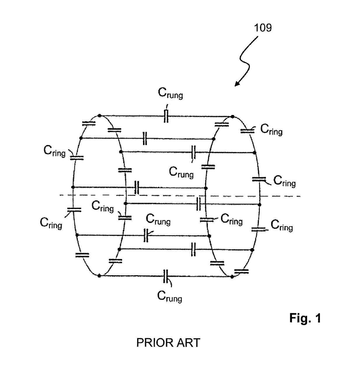 Birdcage body coil for parallel transmit MRI