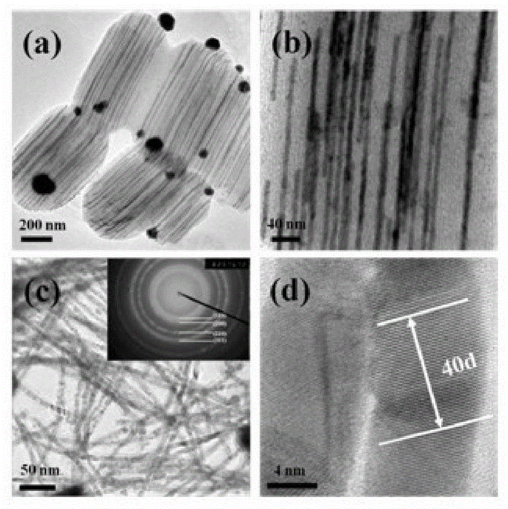 Heterogeneous mesoporous composite material thermophysical property calculating method