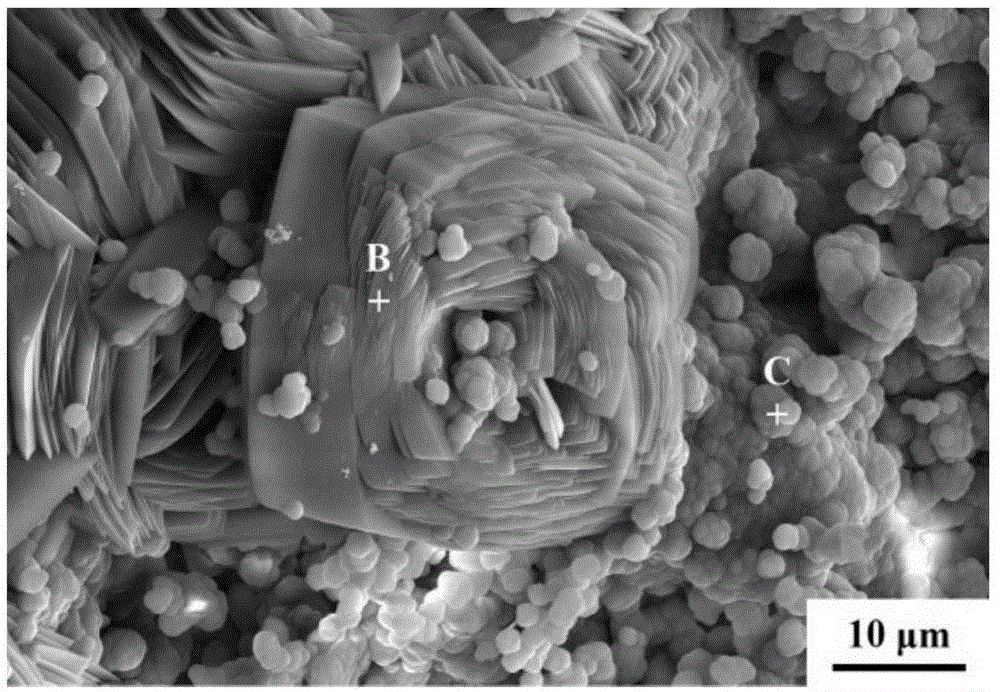 Preparation method of Ca-P-Sn composite coating layer on surface of magnesium alloy