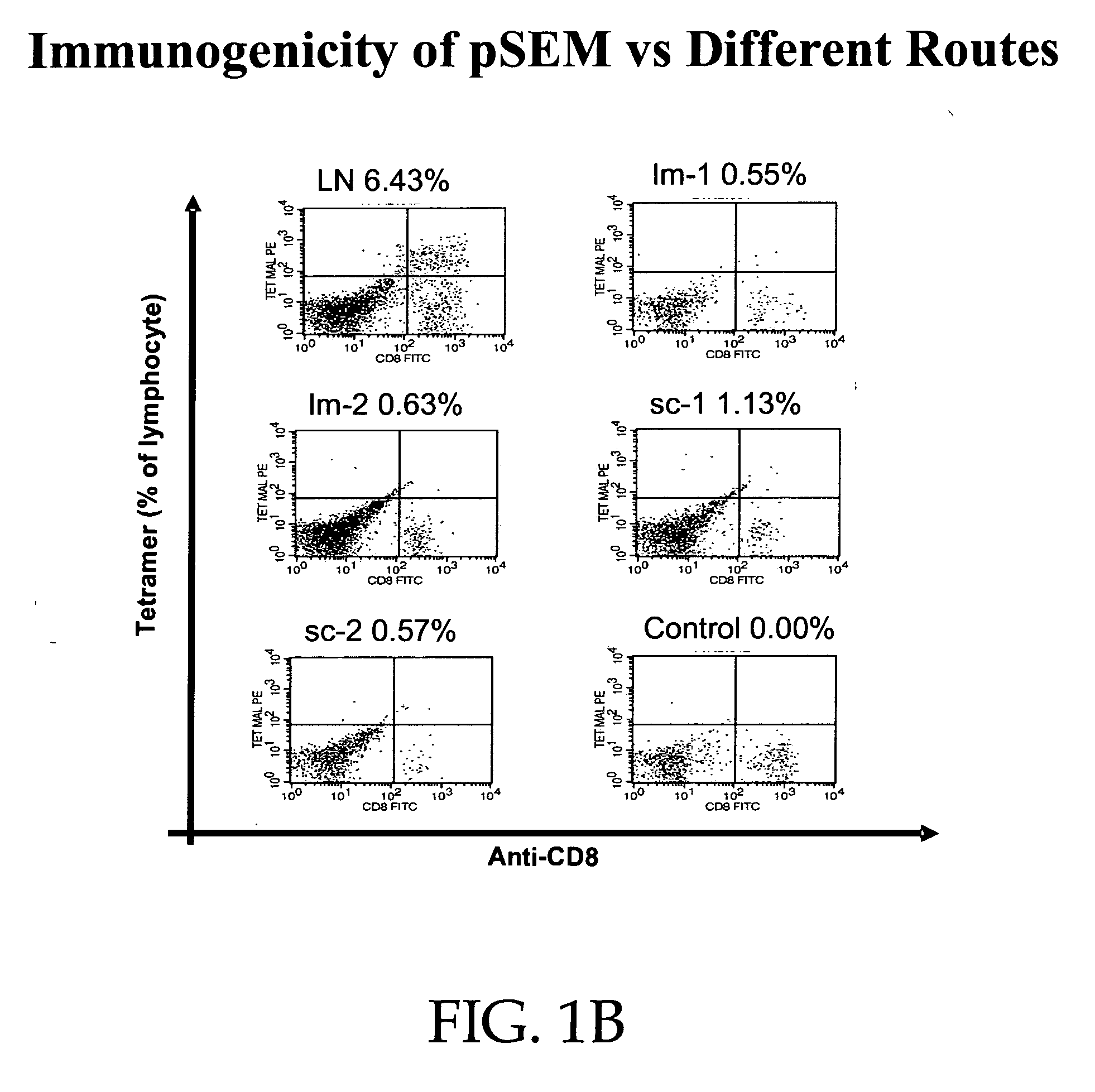 Methods to elicit, enhance and sustain immune responses against MHC class I-restricted epitopes, for prophylactic or therapeutic purposes