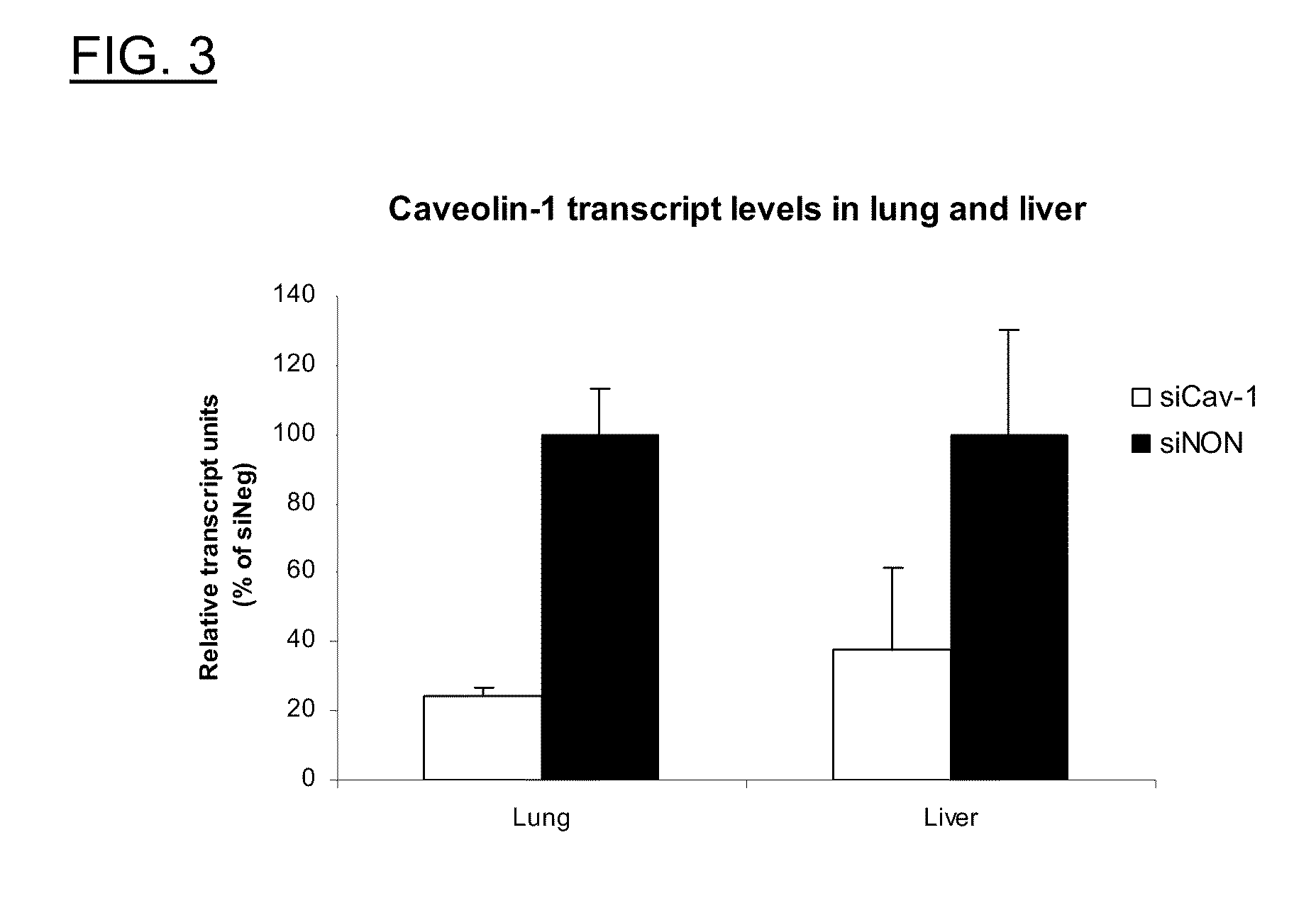 Polyamine Derivatives