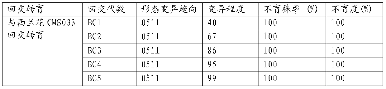 Method for breeding and cultivating early ripening disease-resistant stem broccoli