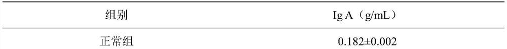 Echinacea purpurea granules for enhancing immunity and preventing and treating cold and preparation method thereof