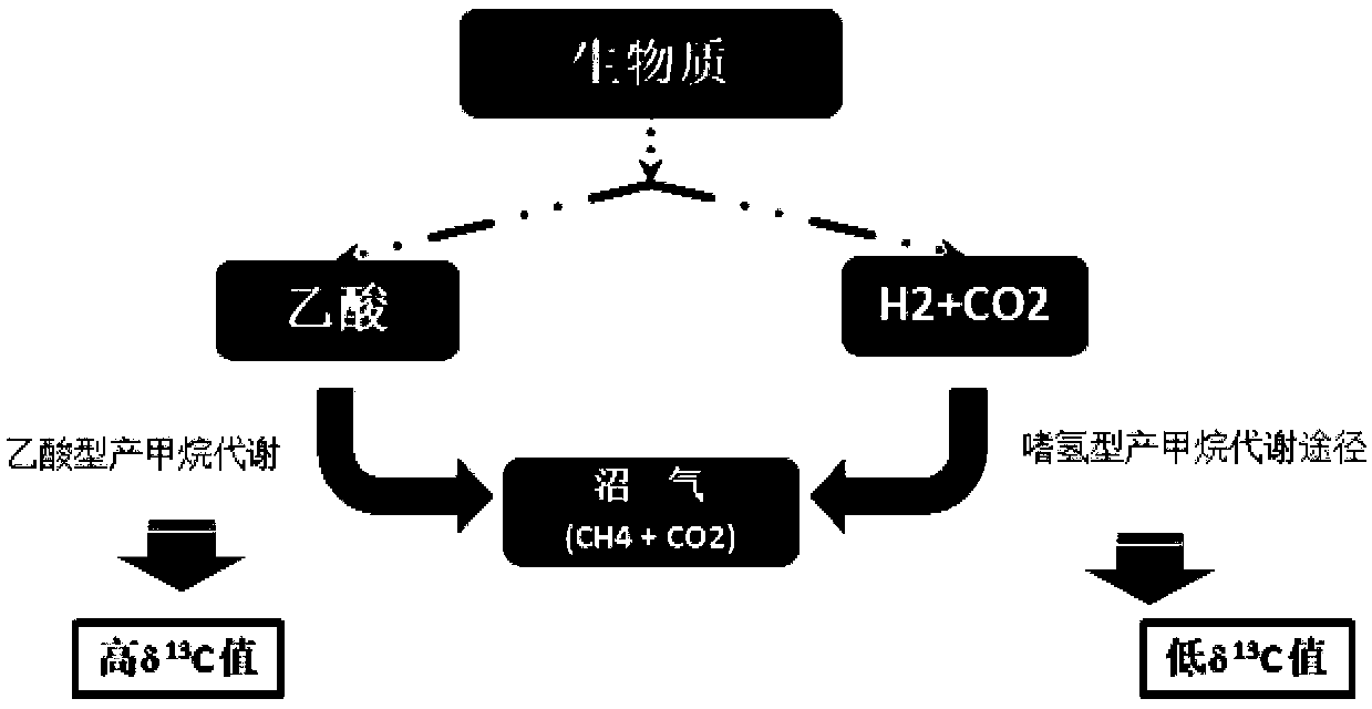 Method for judging anaerobic digestion process by using carbon stable isotope fractionation ratio