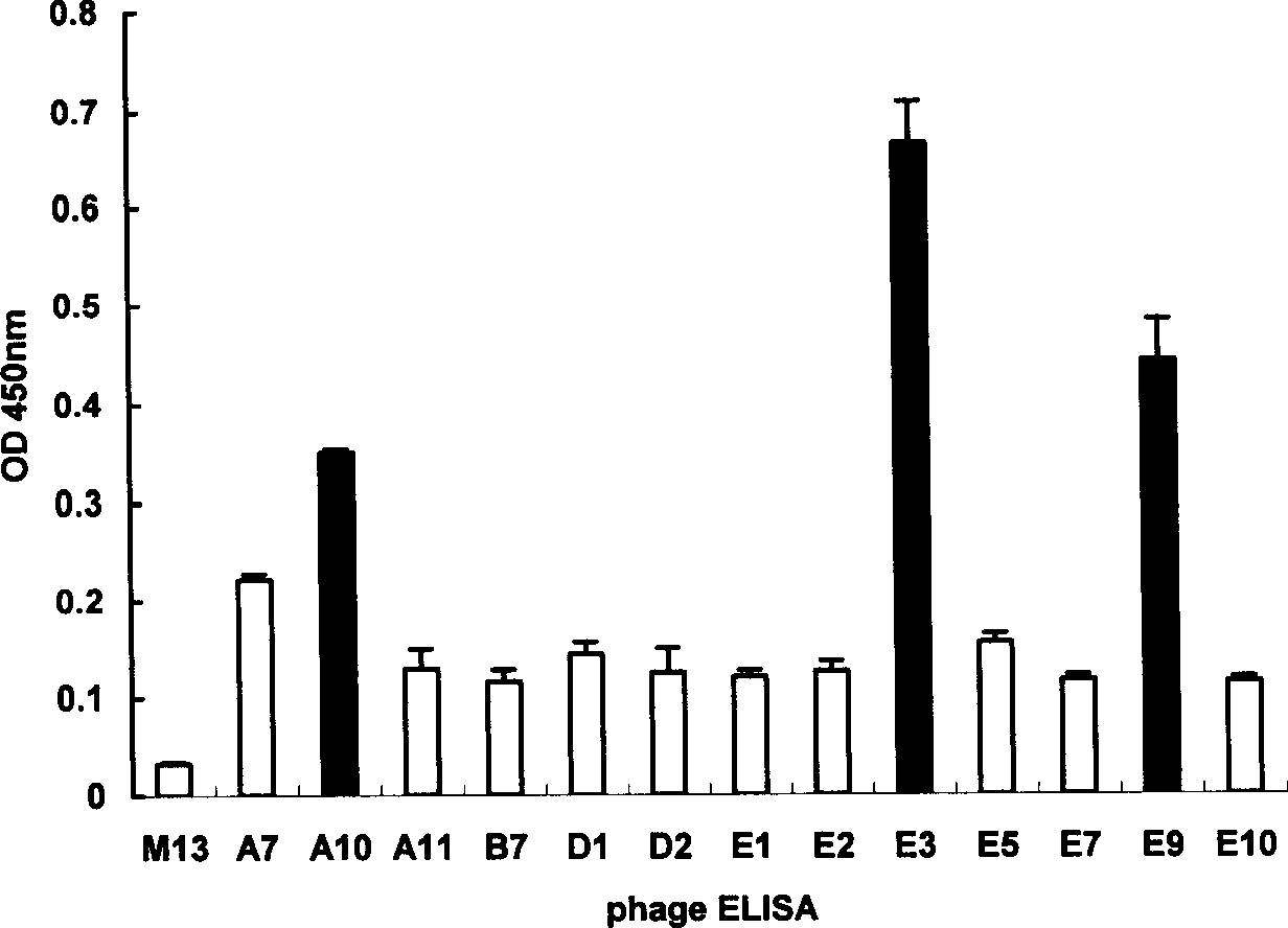 Antibody for treating or preventing senile dementia, its expression vector and application in drug preparation