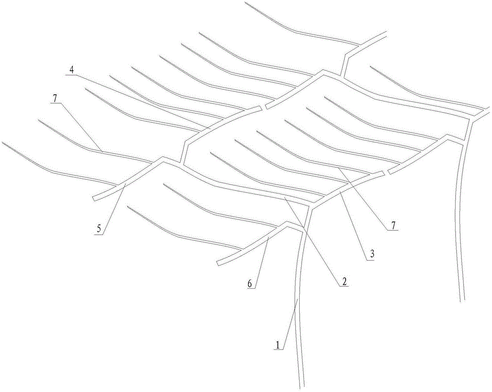 Grapevine shape and constructing method thereof