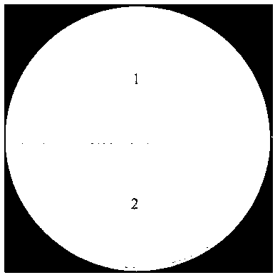 Secretory expression method of bacteriocin lacticin Q