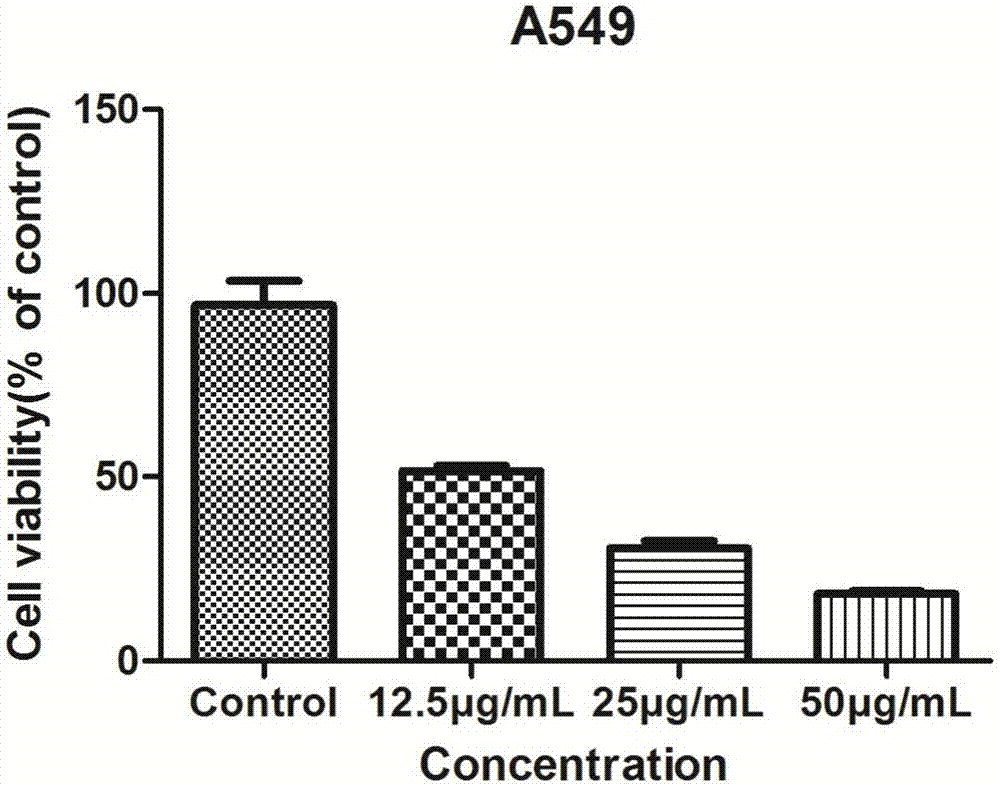 Application of fluoro-thiosemicarbazone compound in antitumor drug