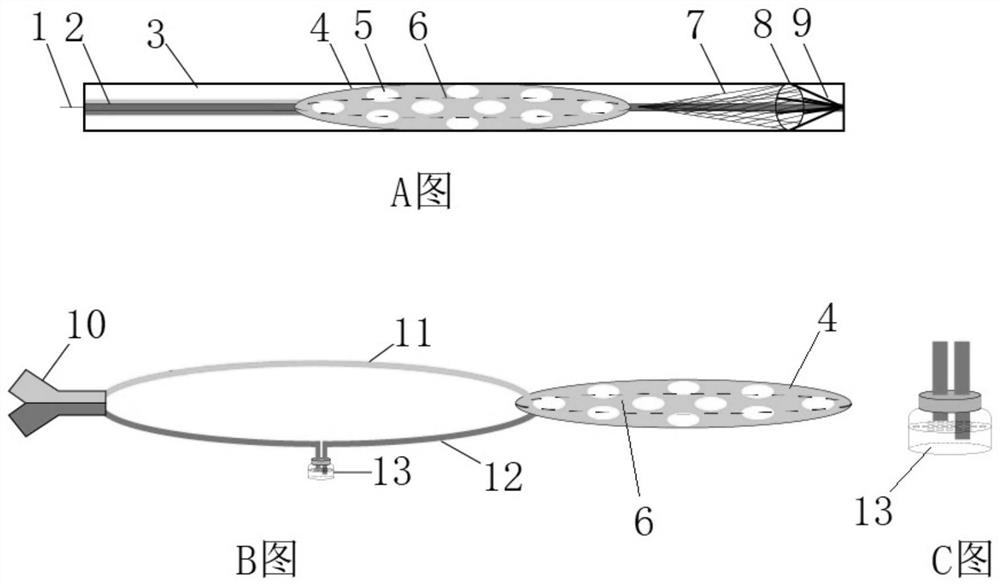 Lower limb artery double-cavity balloon negative pressure suction protective umbrella device