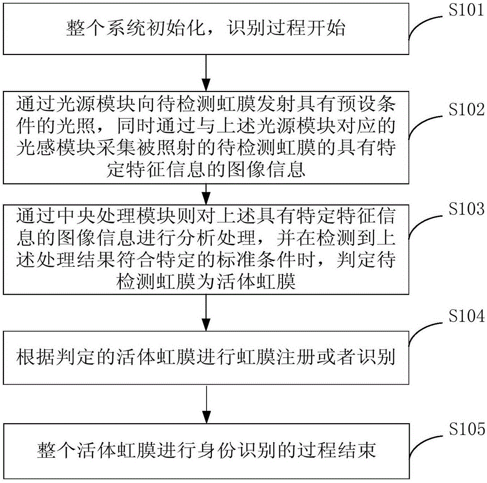 Iris identification system with living body detecting function