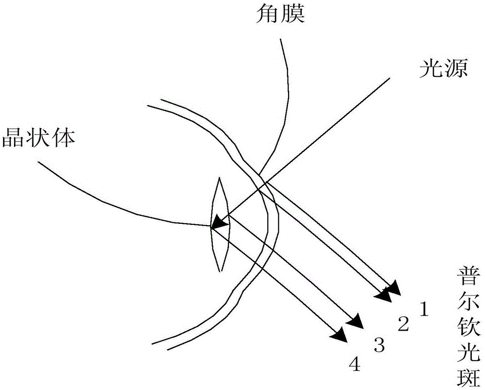 Iris identification system with living body detecting function