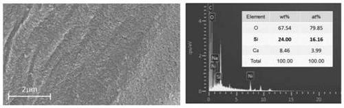 Method for preparing silica nanoparticle-graphene oxide-plant fiber compound