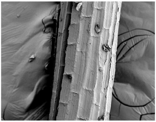 Method for preparing silica nanoparticle-graphene oxide-plant fiber compound