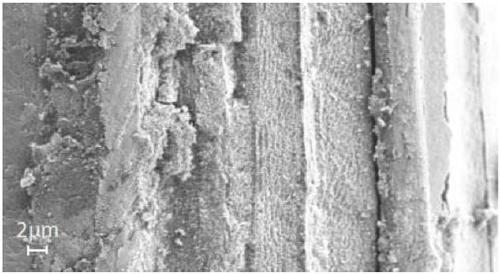 Method for preparing silica nanoparticle-graphene oxide-plant fiber compound