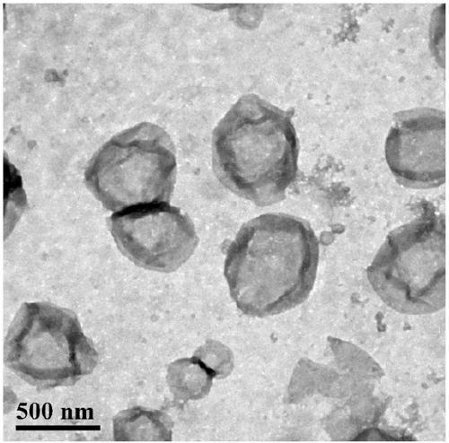 Antimicrobial peptides and vesicles as well as preparation methods and applications thereof