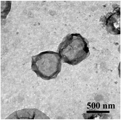 Antimicrobial peptides and vesicles as well as preparation methods and applications thereof