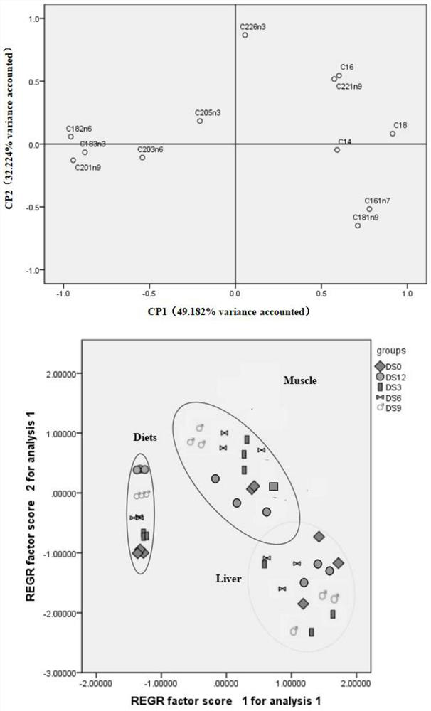 Functional feed for improving quality of ctenopharyngodon idellus by using schizochytrium sp. residues