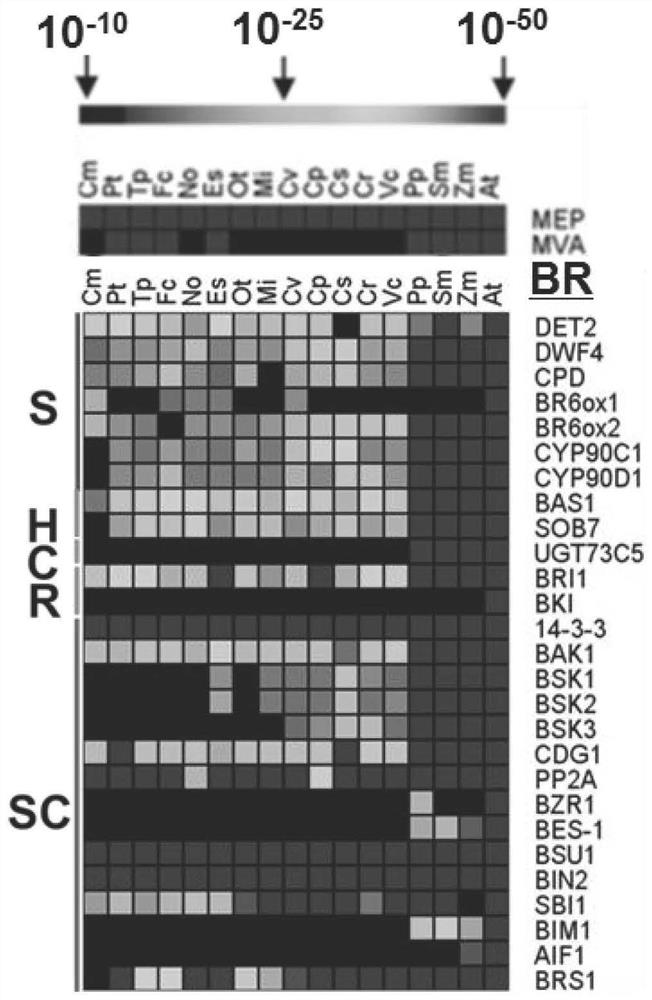 Application of steroid hormone and metabolite thereof