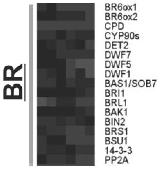 Application of steroid hormone and metabolite thereof