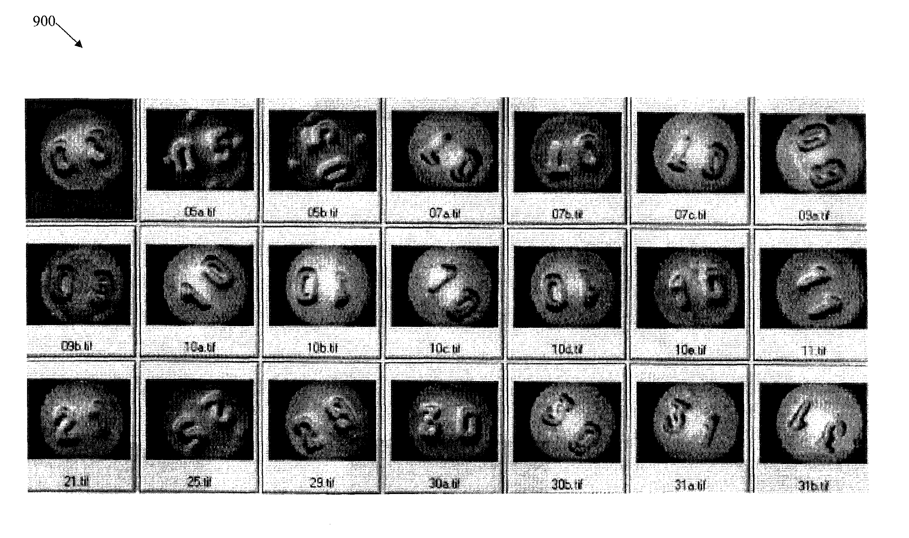 Apparatus and methods for container inspection