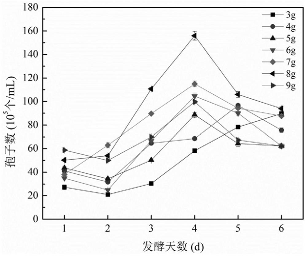 A method for liquid fermentation of R. ginkgo crown, product and application thereof