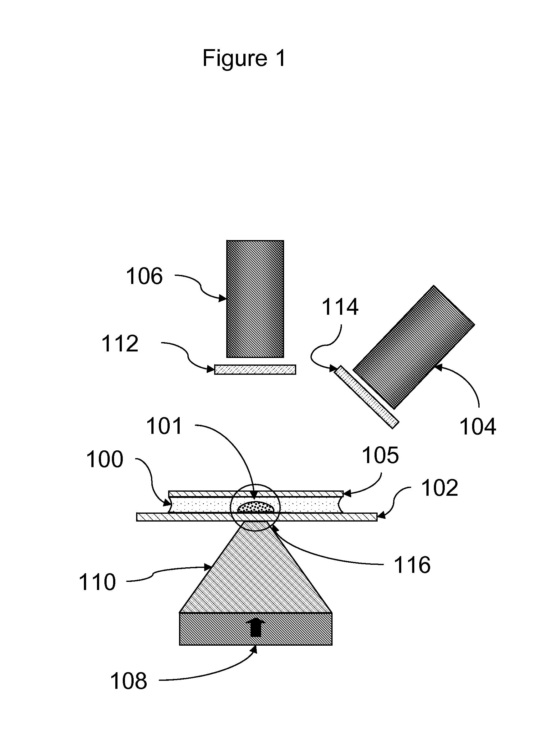 Rapid particle detection assay