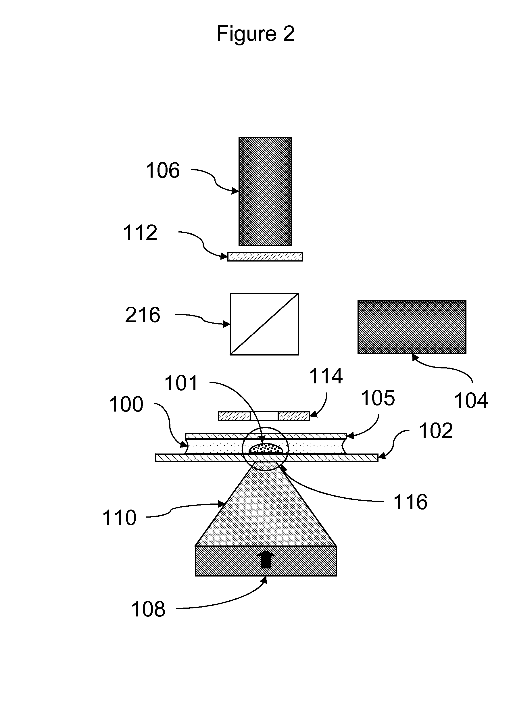 Rapid particle detection assay