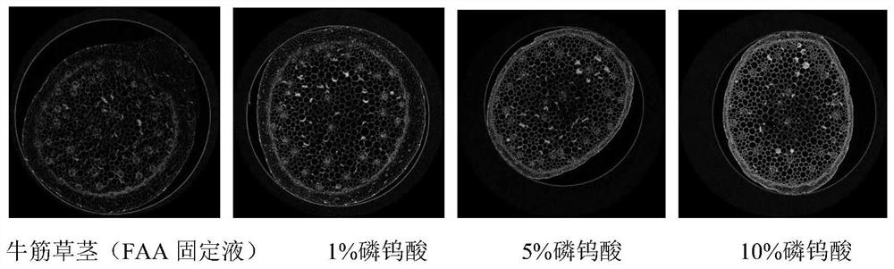 A method for enhancing the contrast of micro-CT plant samples