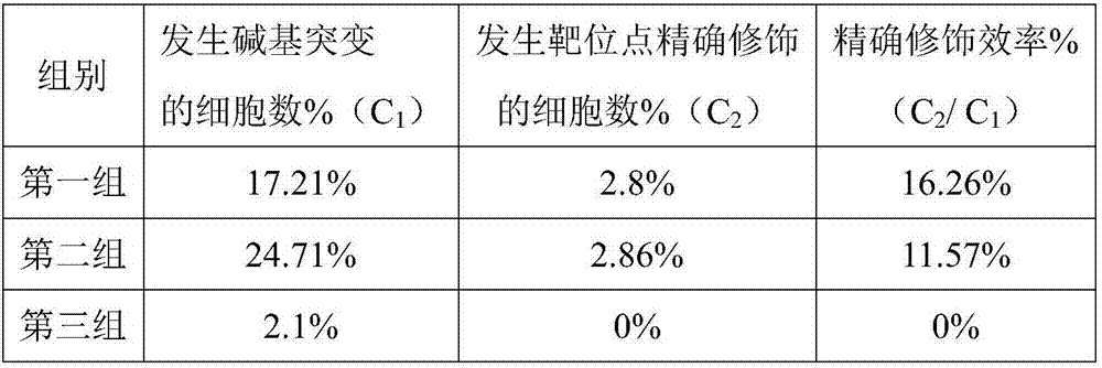 Double sgRNA-mediated gene accurate modification method and application thereof