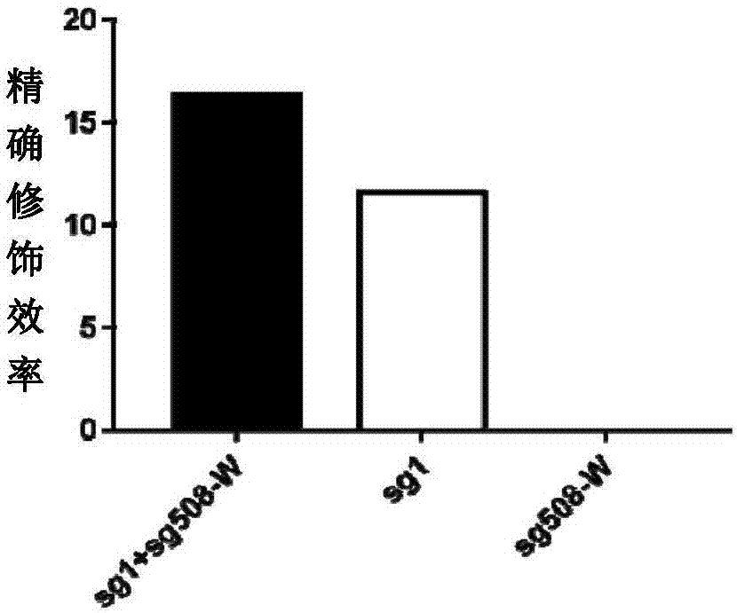 Double sgRNA-mediated gene accurate modification method and application thereof