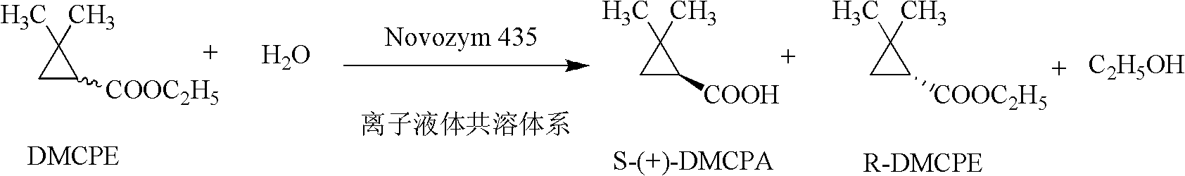 Method for preparing (S)-(+)-2,2-dimethyl cyclopropane methanoic acid by biological resolution in ionic liquid cosolvent