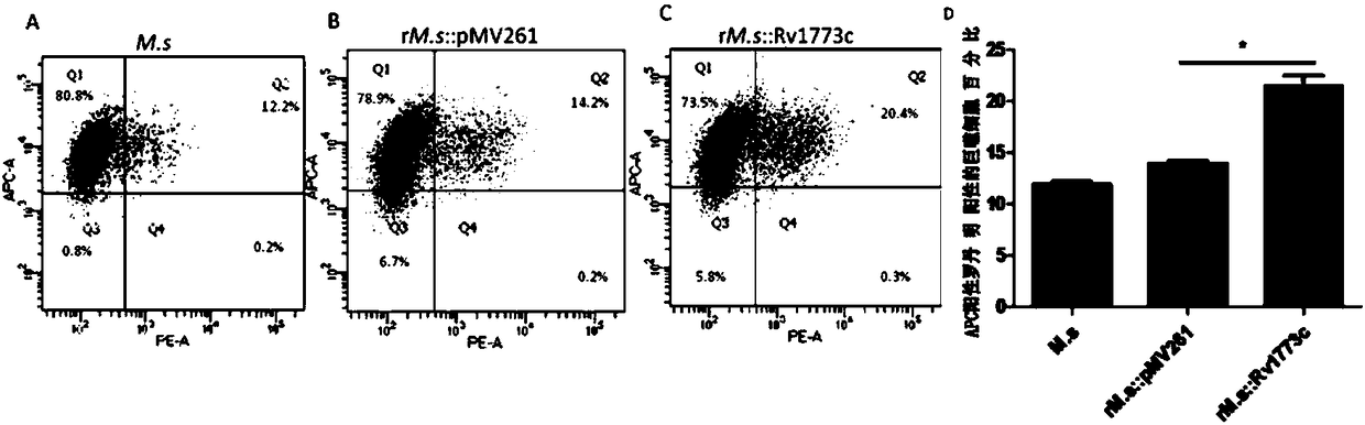 Application of Rv1773c in preparing drug for resisting infection of mycobacterium tuberculosis