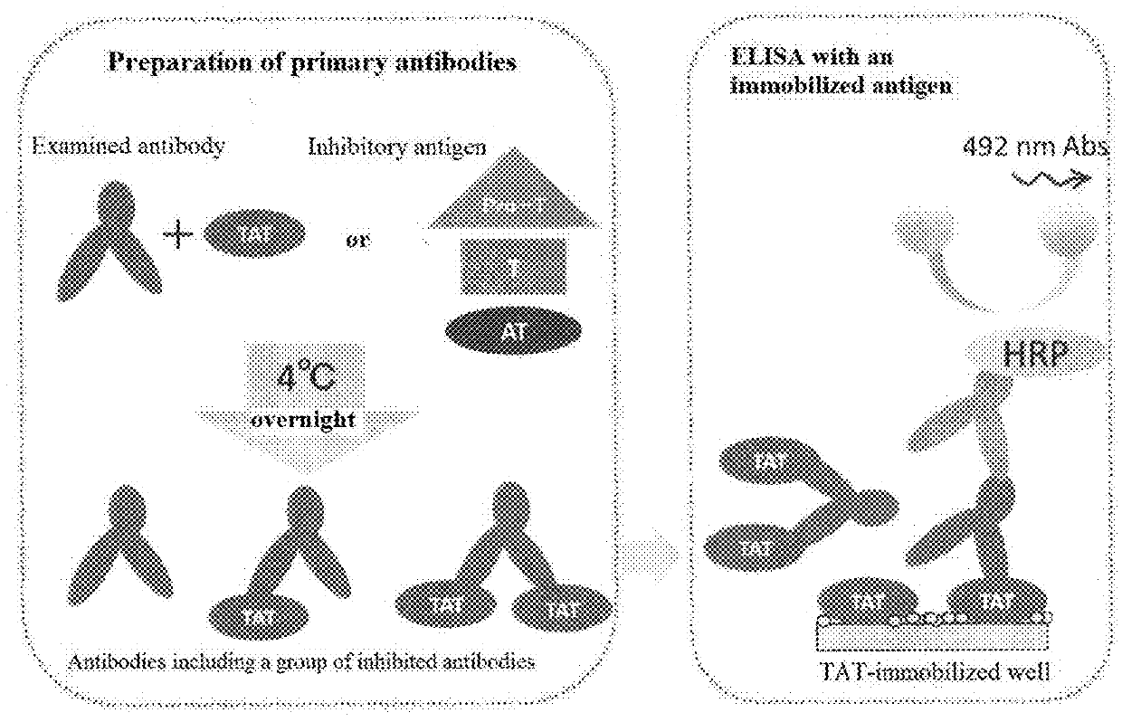 Reagent and method for assaying thrombin-antithrombin complex