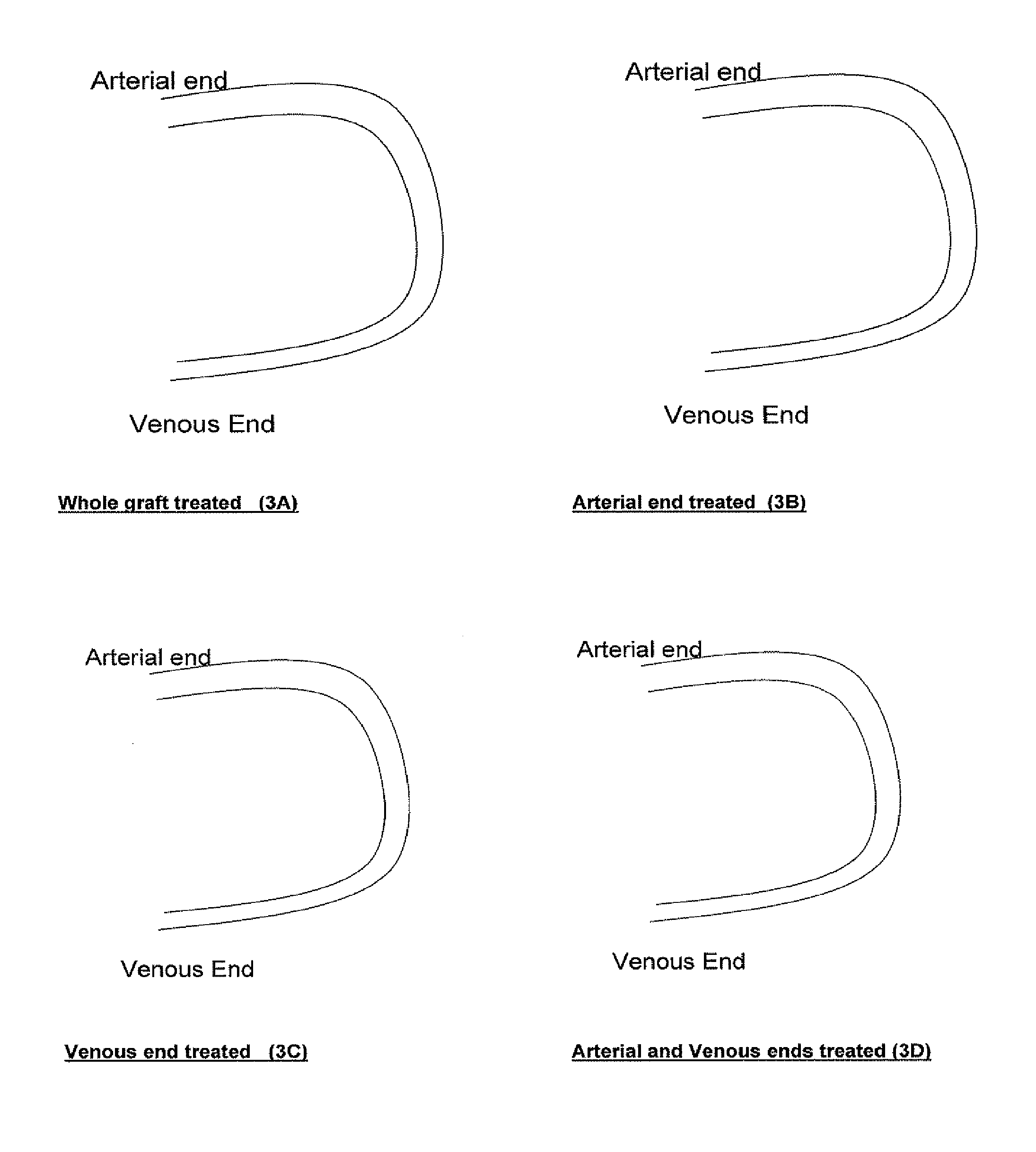 Proteomic Antisense Molecular Shield and Targeting