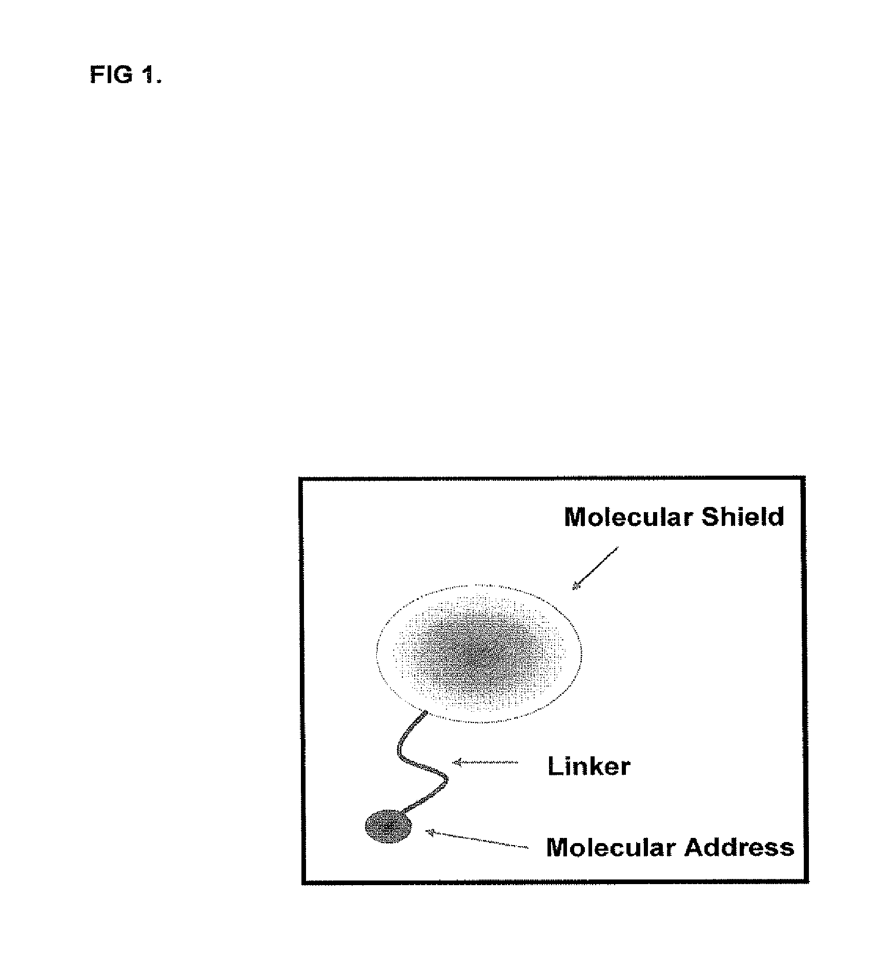 Proteomic Antisense Molecular Shield and Targeting