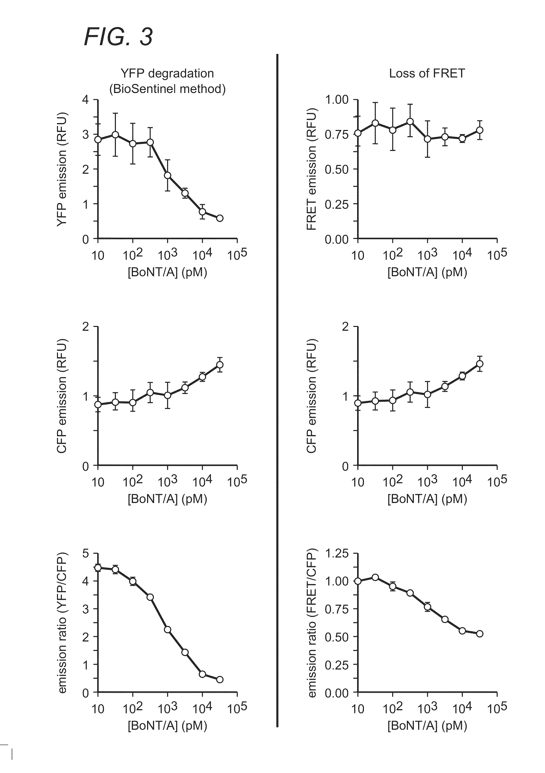 Fusion proteins, cells, and kits for characterizing botulinum toxin