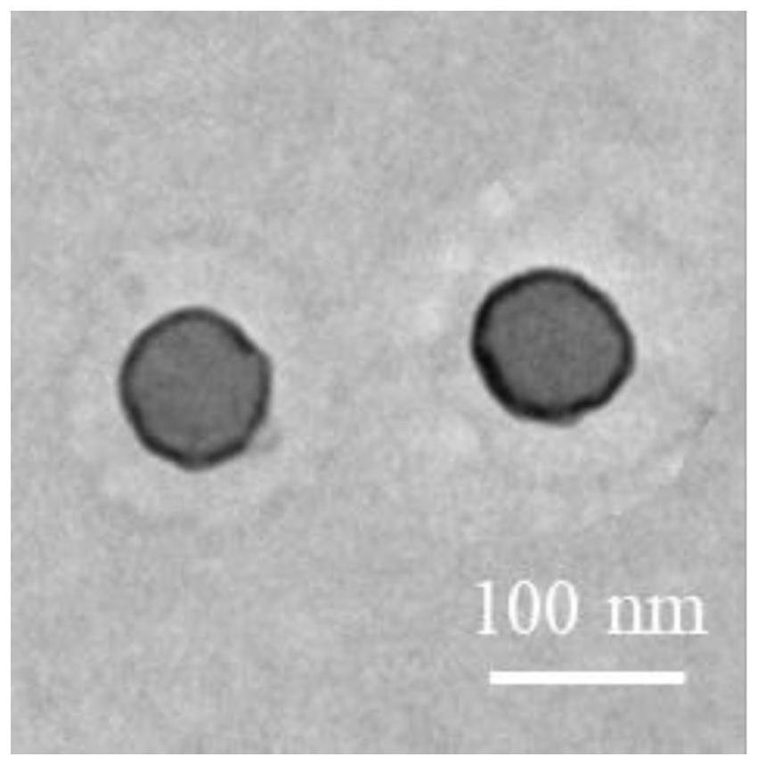 Nanocomposite of erythrocyte membrane coated functional molecules, preparation method and application