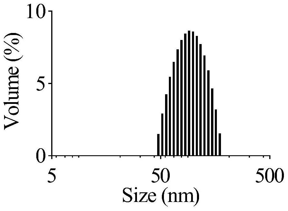 Nanocomposite of erythrocyte membrane coated functional molecules, preparation method and application