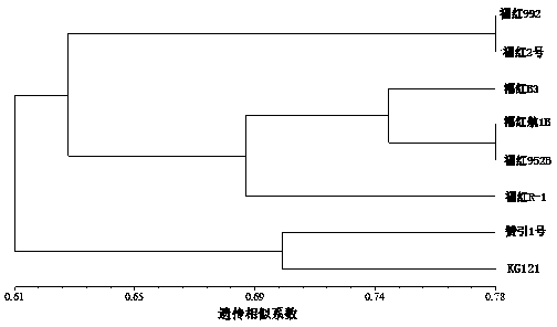 Hibiscus cannabinus L. expression sequence tag SSR (Simple Sequence Repeat) DNA markers