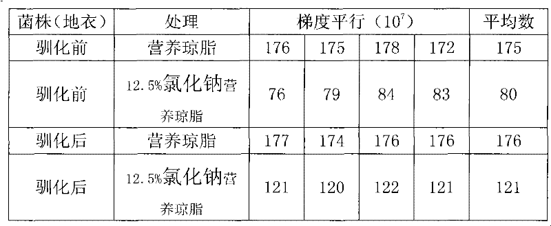 Method for screening sodium chloride-resistant bacillus licheniformis