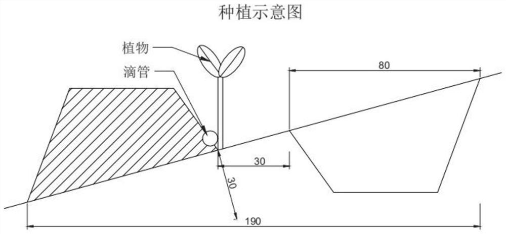 Water-saving irrigation system for mountain agricultural planting