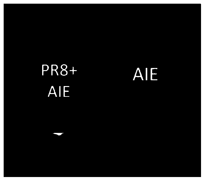 Rapid influenza virus labeling and tracing method based on aggregation-induced emission molecules